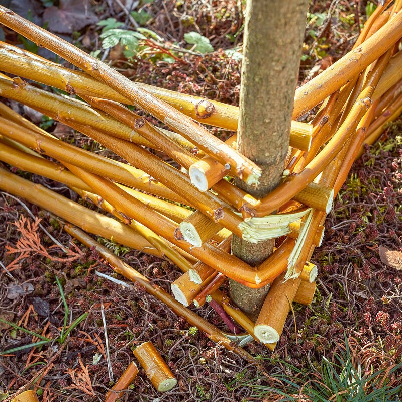 Beeteinfassung aus Weide Schritt 2: Weiden flechten