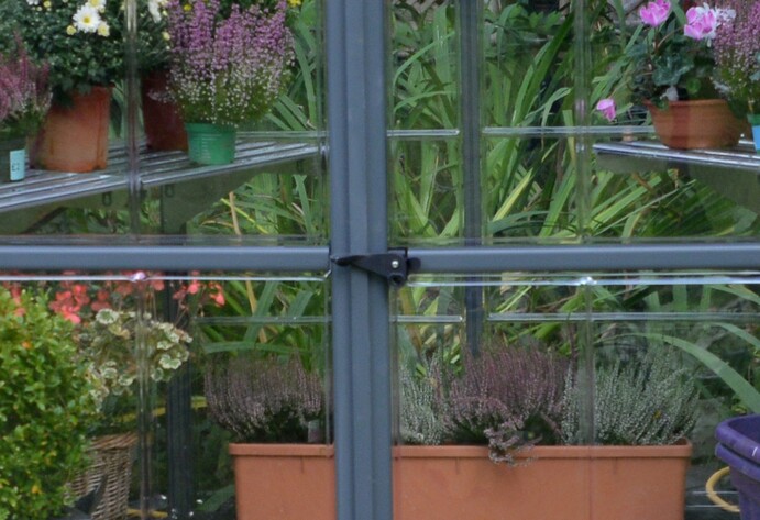 Blumenkasten im Fenster