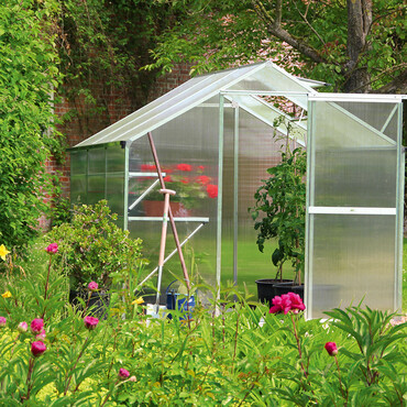 Gew&auml;chshaus mit offener T&uuml;r