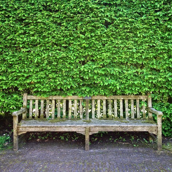 Holzschutz. Was tun bei vergrautem Holz?