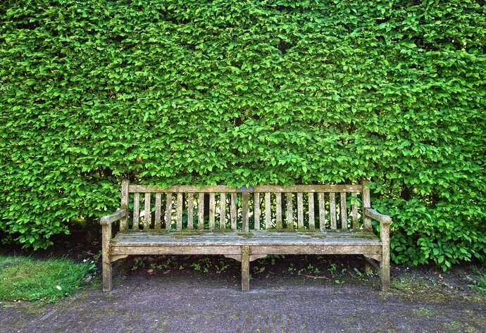 Holzschutz. Was tun bei vergrautem Holz?