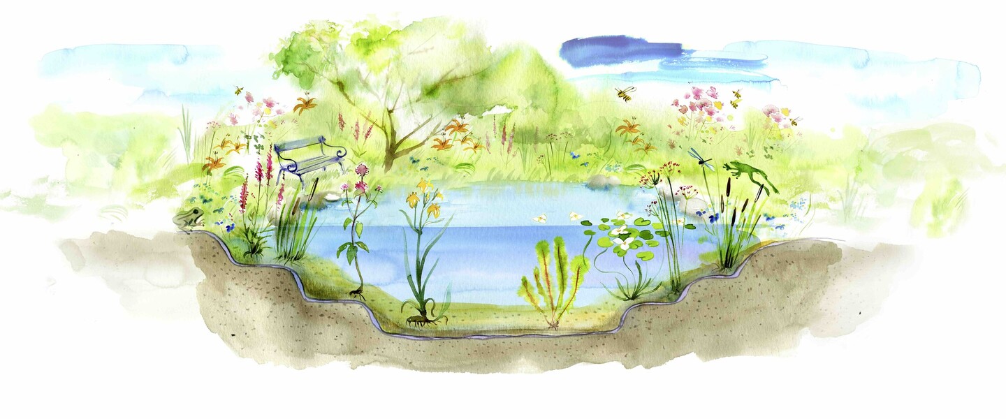 Illustrierter Gartenteich