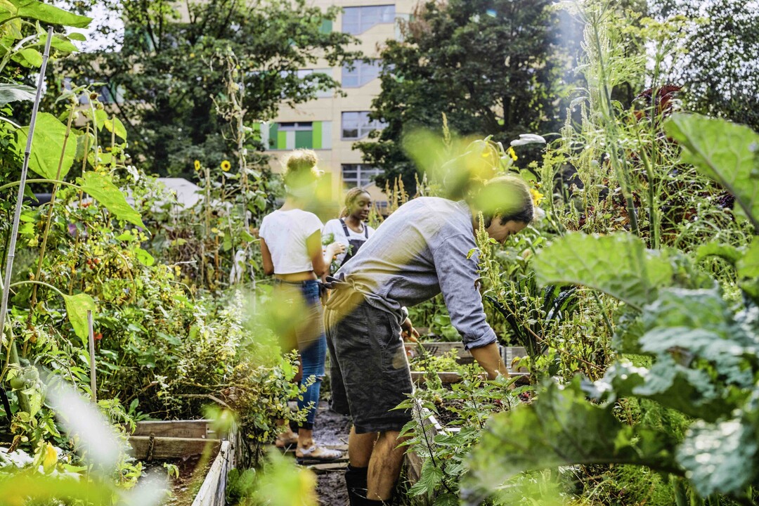 wasserpflanzen dünger selber machen Wasserpflanzen Dünger: BioTeich VitaTon