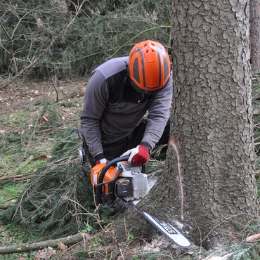 Mann sägt einen Baum an