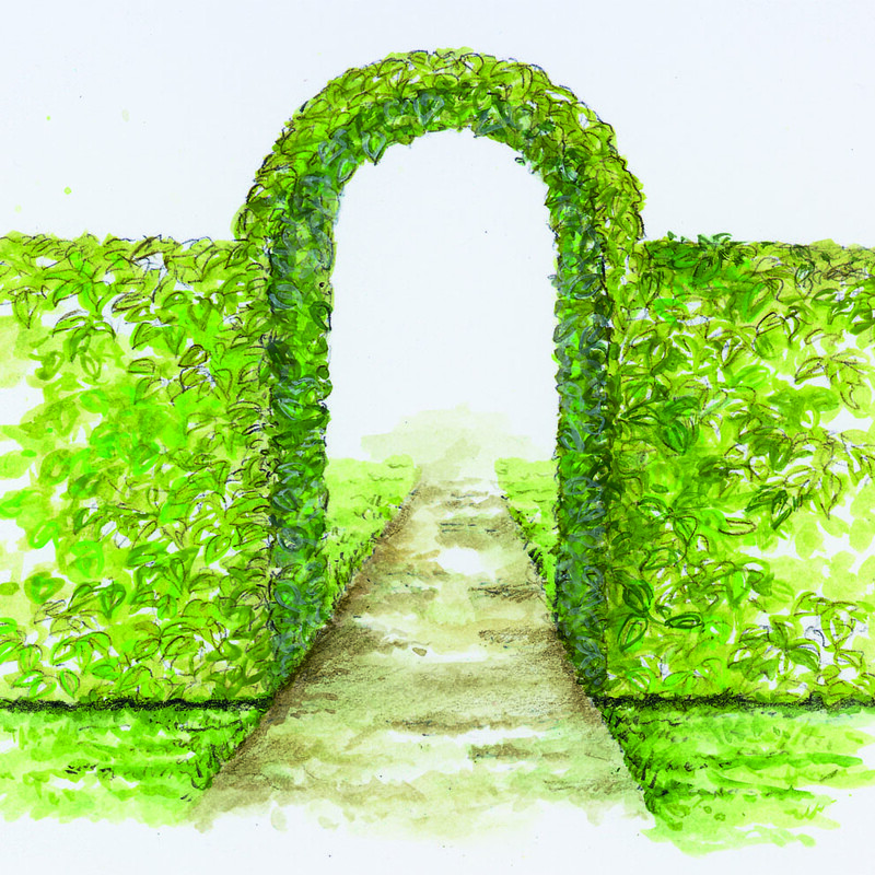 Torbogen regelm&auml;&szlig;ig in Form schneiden