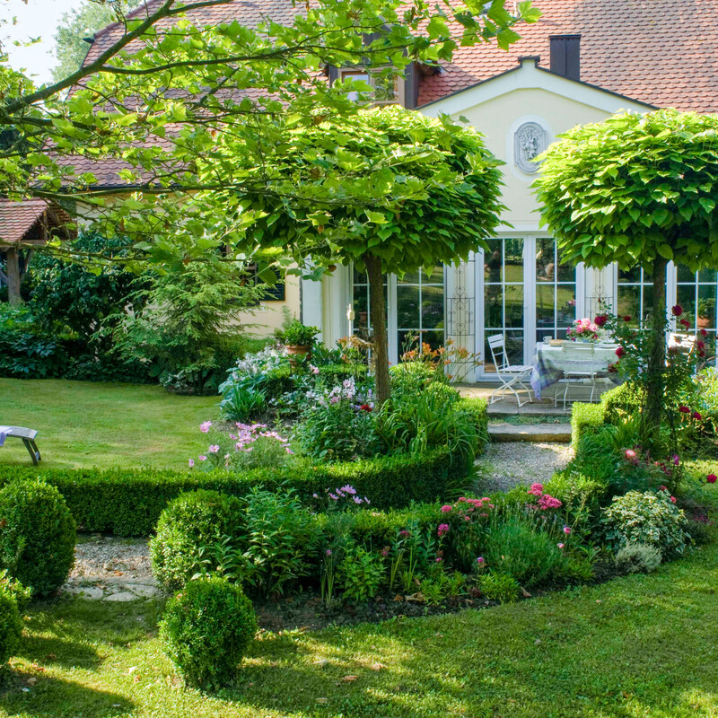 Hecke als Wegeinfassung