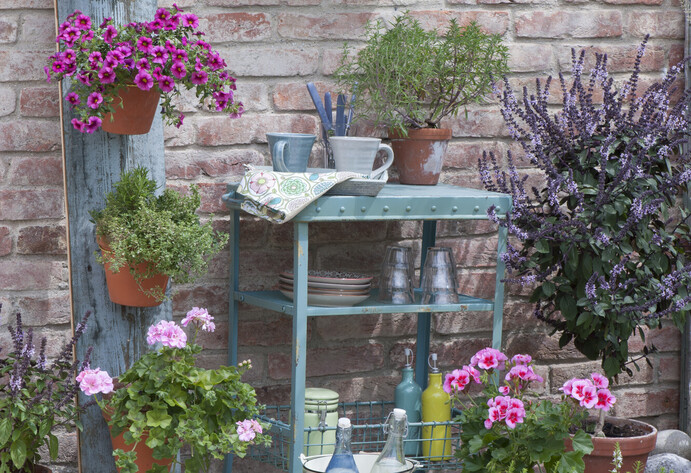 Kr&auml;uter-Ecke auf der Terrasse