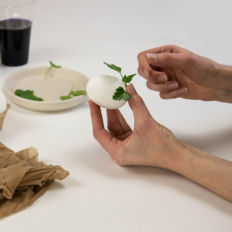 Blatt auf weißem Ei in Hand