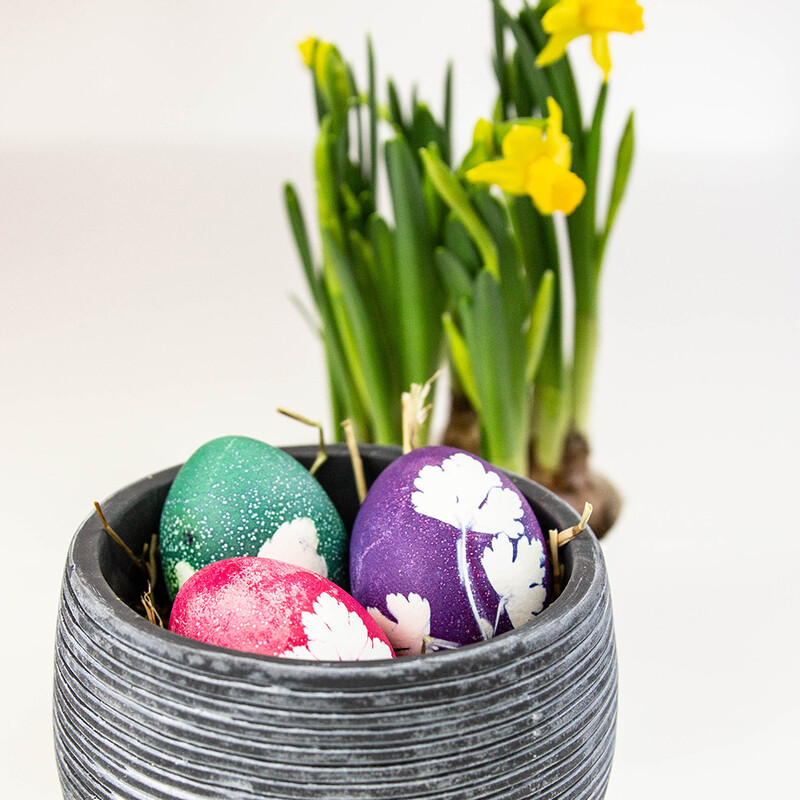 Bunte Eier mit Blattmotiven in Körbchen vor einem Osterglöckchen