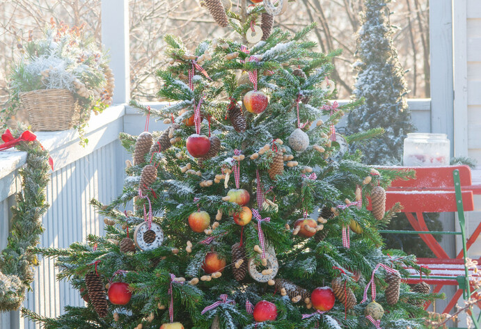 Weihnachtsbaum mit Vogelfutter geschmückt