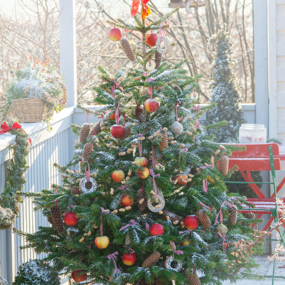 Weihnachtsbaum mit Vogelfutter geschmückt