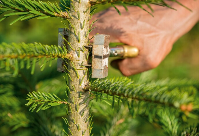 Top-Stop-Zange an Baum anbringen