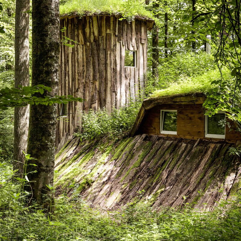 Holzhaus im Wald