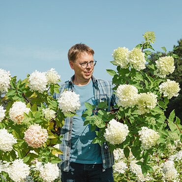 Mann mit Brille steht neben wei&szlig;en Hortensien