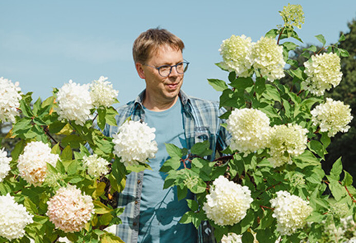 Mann mit Brille steht neben wei&szlig;en Hortensien