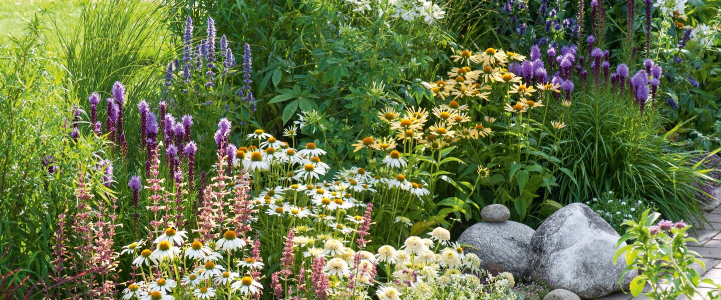 Gestaltungstipps f&uuml;r einen insektenfreundlichen Garten