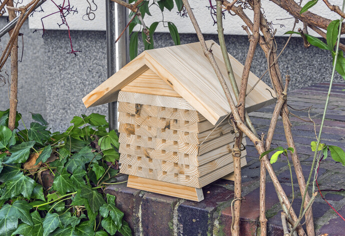 Nisthilfe f&uuml;r Mauerbienen