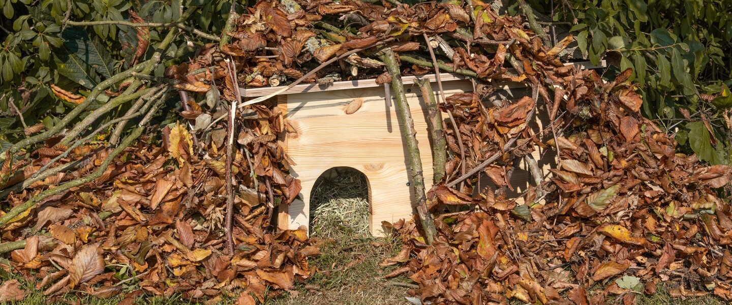 Anleitung: So baust Du ein Igelhaus