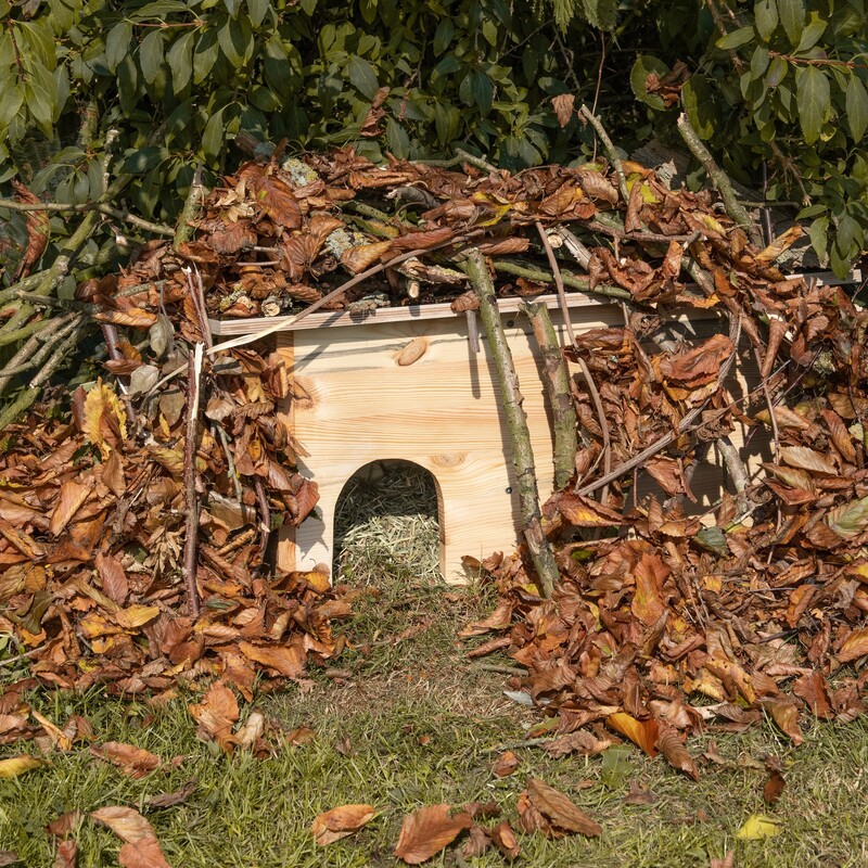 Anleitung: So baust Du ein Igelhaus