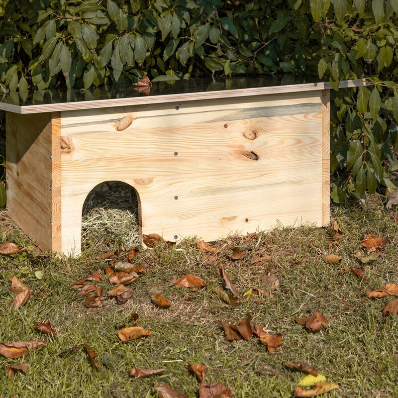 Igelhaus im Garten aufstellen