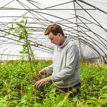 Max Geers inmitten von gr&uuml;nen bl&uuml;henden Baumpflanzen