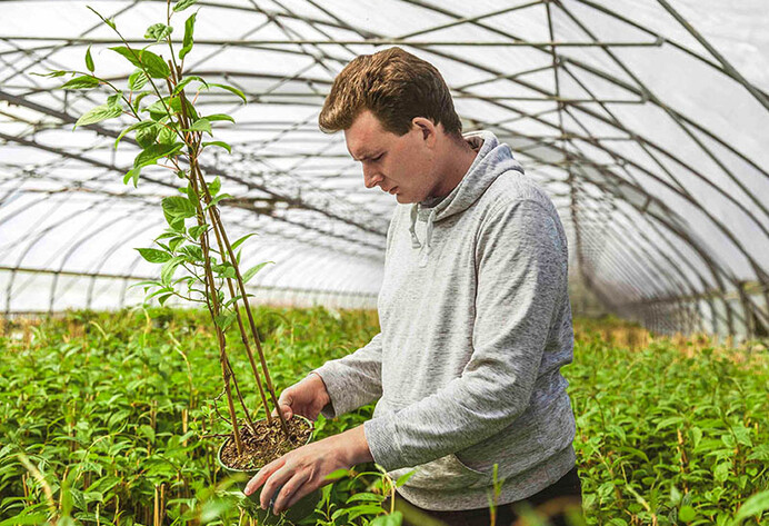 Max Geers inmitten von gr&uuml;nen bl&uuml;henden Baumpflanzen