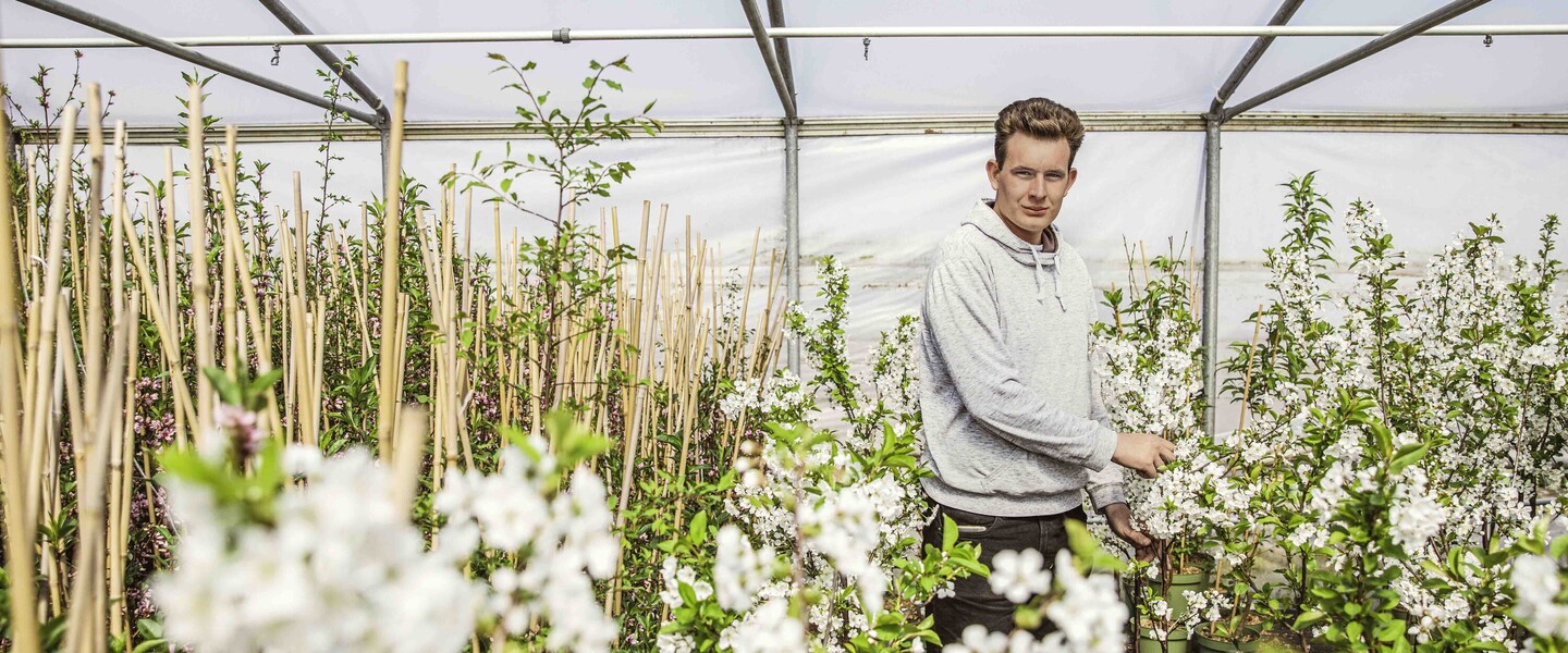 Max Geers in Gew&auml;chshaus mit bl&uuml;henden Apfelbaumpflanzen