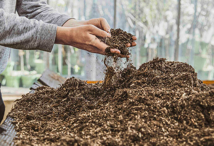 Mann nimmt Erde mit seinen H&auml;nden aus einem Erdhaufen