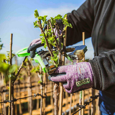 Mann verdrahtet per Zange Pflanzen mit einem Stab