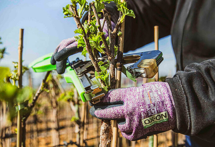 Mann verdrahtet per Zange Pflanzen mit einem Stab