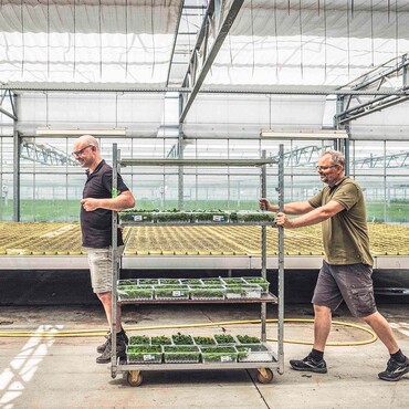 Ein Mann schiebt einen Rollwagen, beladen mit Kr&auml;utern, ein weiterer Mann steht vorne auf dem Wagen und h&auml;lt sich mit den Armen fest