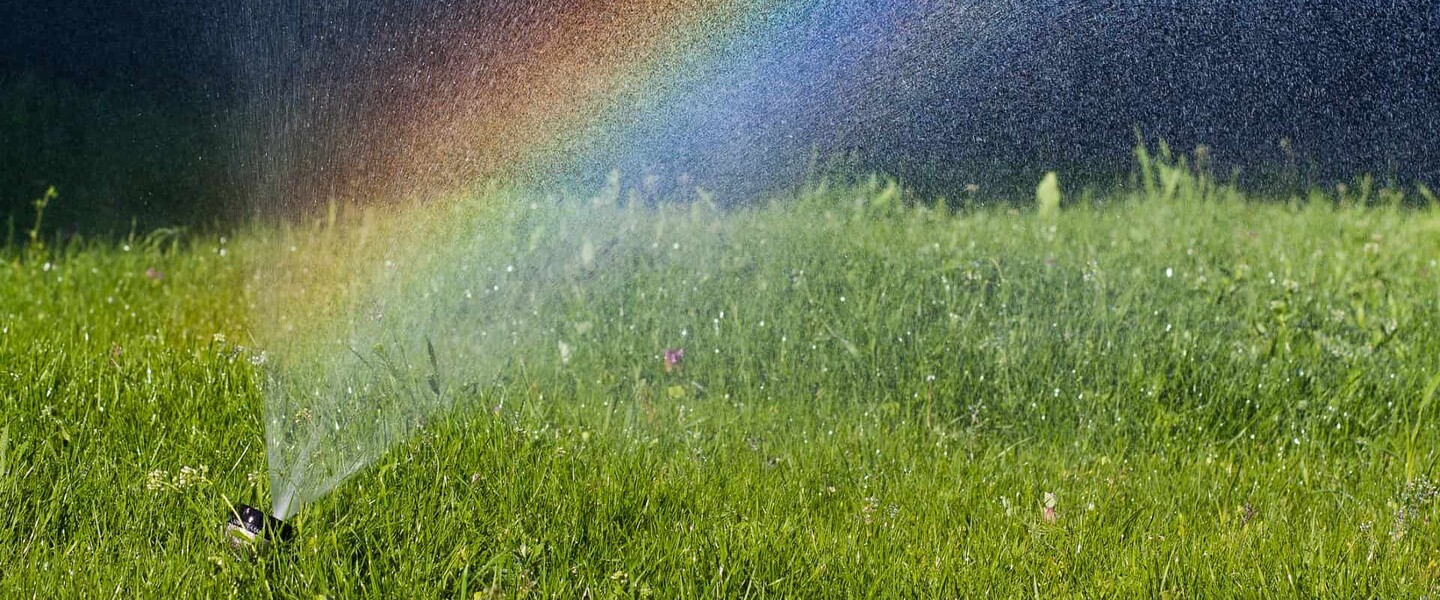 W&auml;ssere Deinen Rasen im Sommer sehr fr&uuml;h morgens, sonst verdunstet das Wasser, bevor es an die Wurzeln kommt.