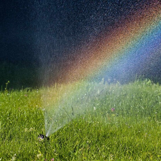 W&auml;ssere Deinen Rasen im Sommer sehr fr&uuml;h morgens, sonst verdunstet das Wasser, bevor es an die Wurzeln kommt.
