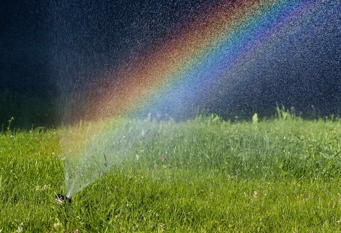 W&auml;ssere Deinen Rasen im Sommer sehr fr&uuml;h morgens, sonst verdunstet das Wasser, bevor es an die Wurzeln kommt.