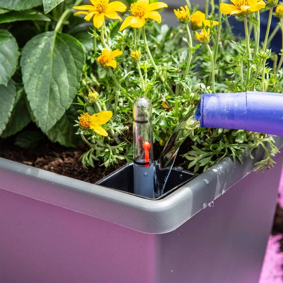 Immer auf dem neuesten Stand bist Du mit Blumenk&auml;sten, die einen Wasserspeicher haben und auch anzeigen, wie voll dieser ist.