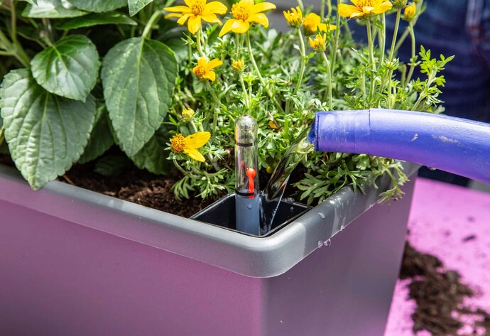 Immer auf dem neuesten Stand bist Du mit Blumenk&auml;sten, die einen Wasserspeicher haben und auch anzeigen, wie voll dieser ist.