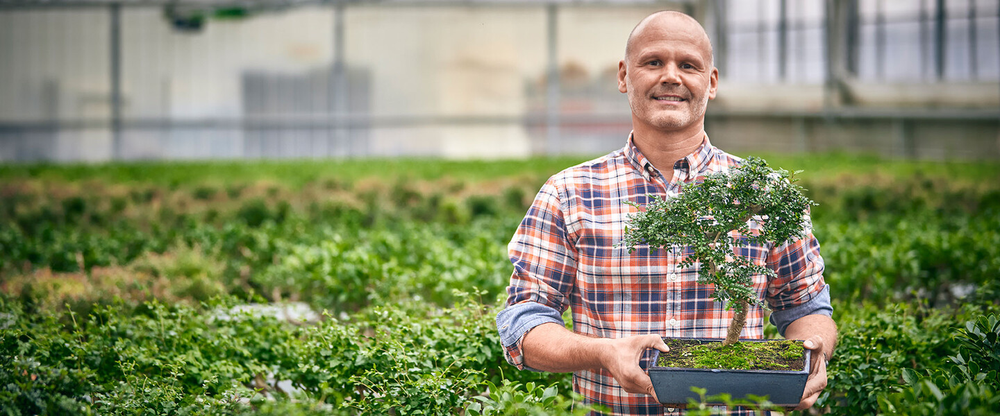 Mann mit Glatze und kariertem Hemd steht zwischen Pflanzen und h&auml;lt einen Bonsai-Baum in den H&auml;nden