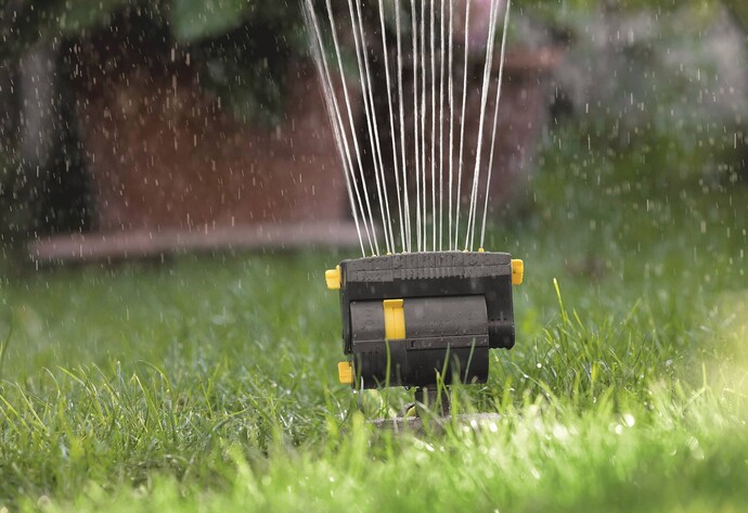 Rasen-Regner