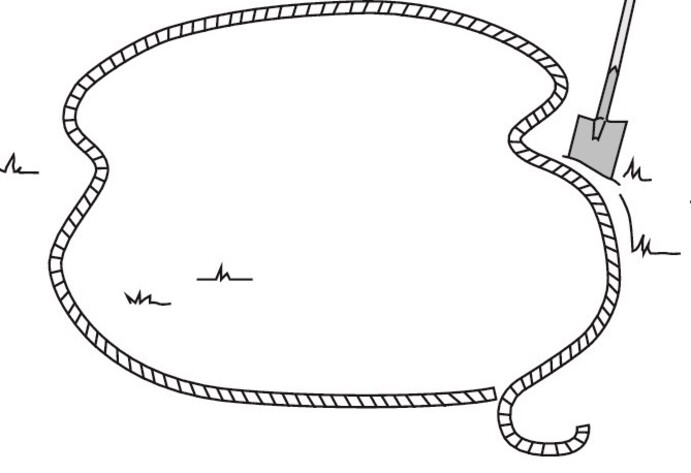 Teich anlegen: Vorbereitungen