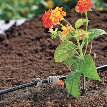 Pipleine-Bew&auml;sserungssystem im Garten in Nahaufnahme