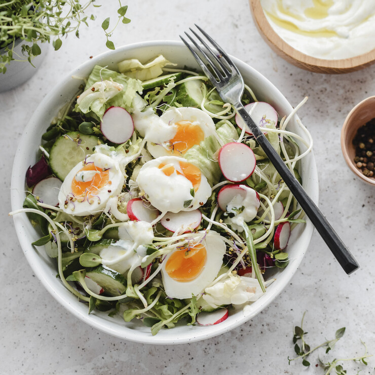 Salat mit Gurken und Rettichsprossen