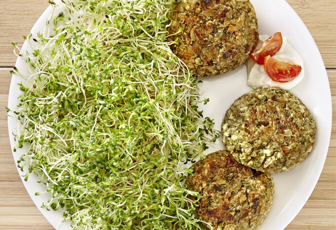 Sperli Sprossen Alfalfa