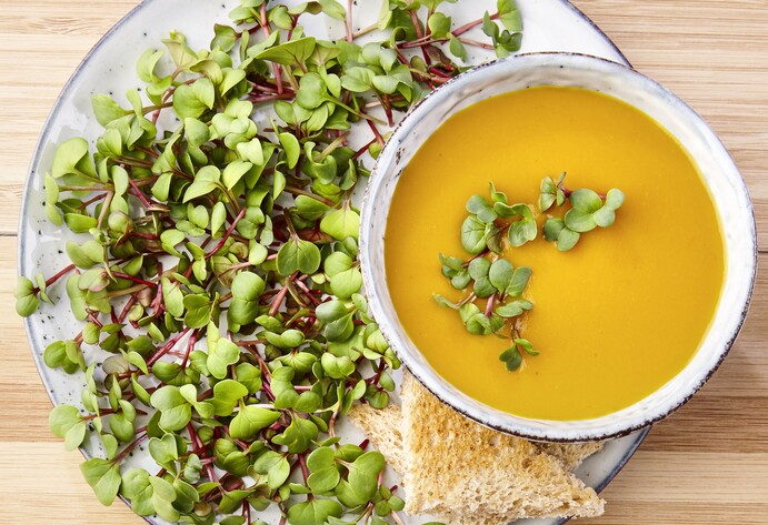 Teller mit Sprossen und Suppe