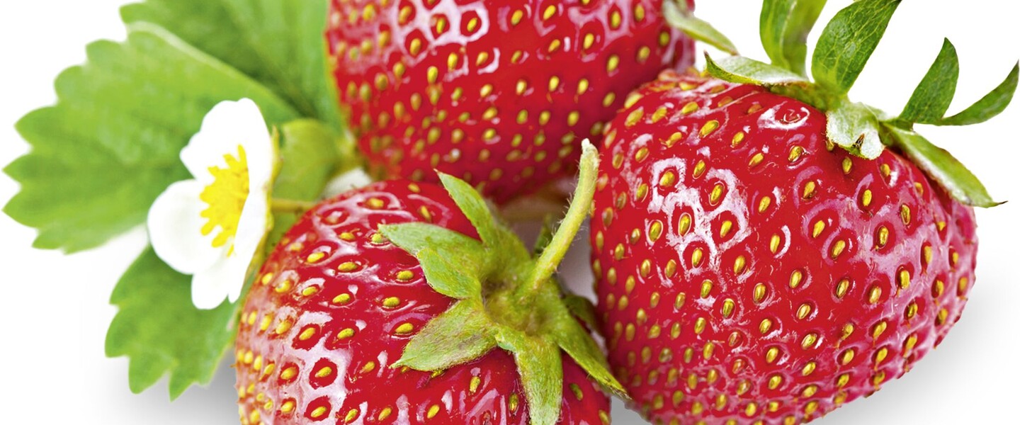 3 Erdbeeren