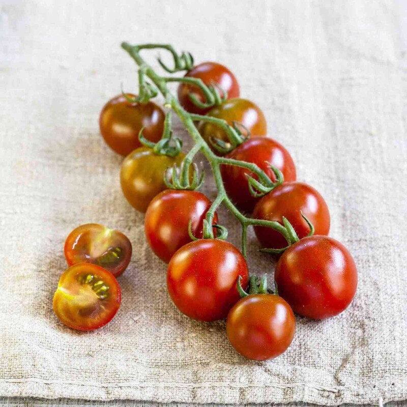 Nektar Cherrytomate 'Solena&reg; Sweet' choco