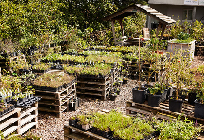 Schaugarten von Samen Maier
