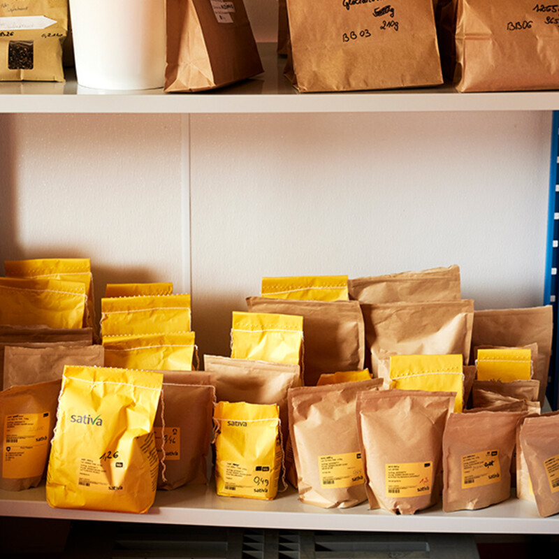 Im Lagerraum warten die gepr&uuml;ften Bio-Samen darauf, verpackt zu werden