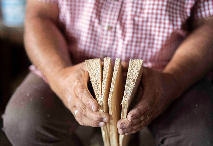 Sechs Schindeln aus einem Stück Holz