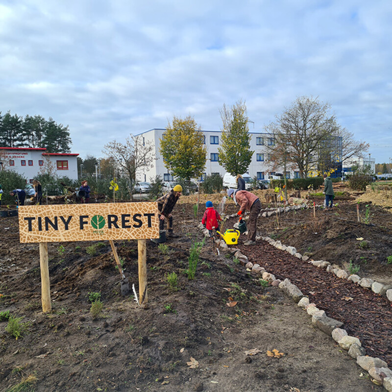 Menschen pflanzen einen Tiny Forest