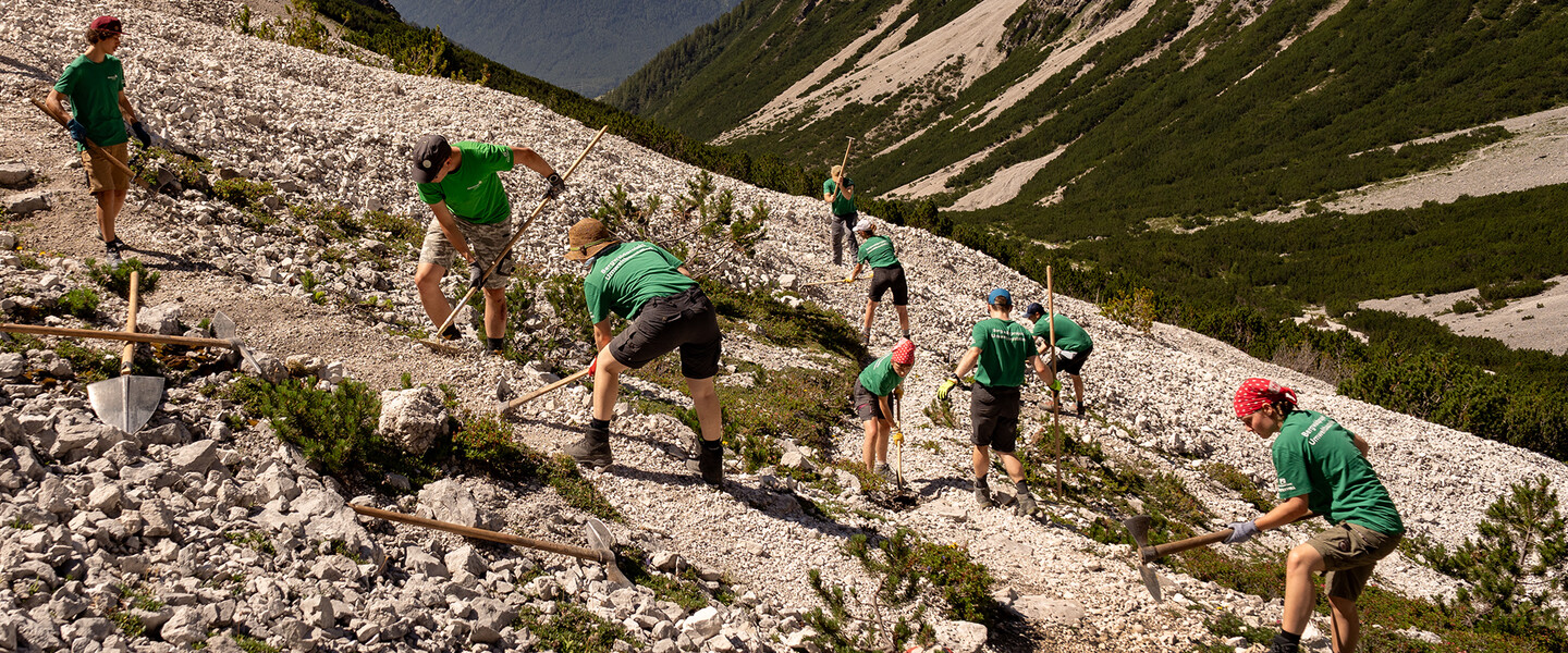 Neun Menschen in gr&uuml;nen T-Shirts bearbeiten mit Spitzhacken einen Weg im Hochgebirge